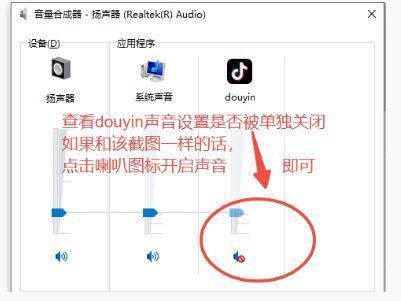音量合成器中抖音或浏览器进程被静音的示意图，提示用户检查应用独立音量设置