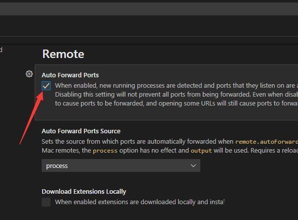 Auto Forward Ports选项被勾选启用的设置界面截图