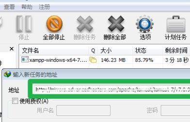 新建任务弹窗中已输入迅雷链接，光标位于输入框，准备点击确定