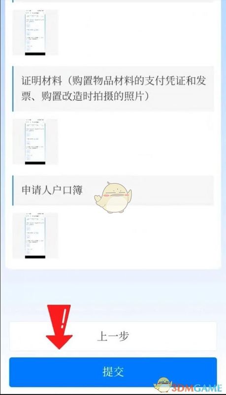 申请提交前的最终核对页面，显示所有填写信息汇总