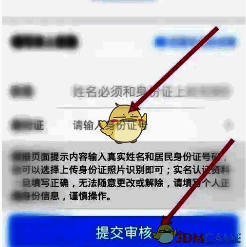提交审核前的信息确认页面，显示已填写的身份证信息和提交按钮