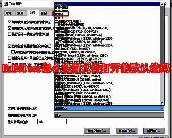 EmEditor主界面展示，软件窗口清晰显示菜单栏与文本编辑区域