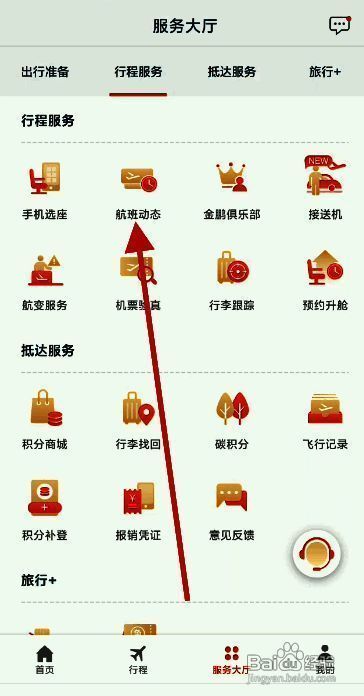 航班动态输入界面，显示可填写航班号和日期的搜索栏