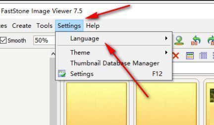 FastStone Image Viewer设置菜单中的语言选项