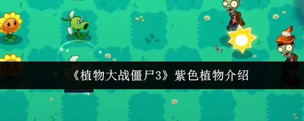 坚果植物立绘，身穿坚硬外壳，呈防御姿态