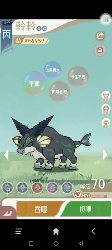 群体输出宠物技能展示，范围攻击覆盖全场