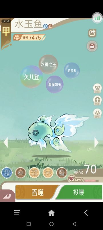 辅助型宠物技能展示，增强全队属性与恢复能力