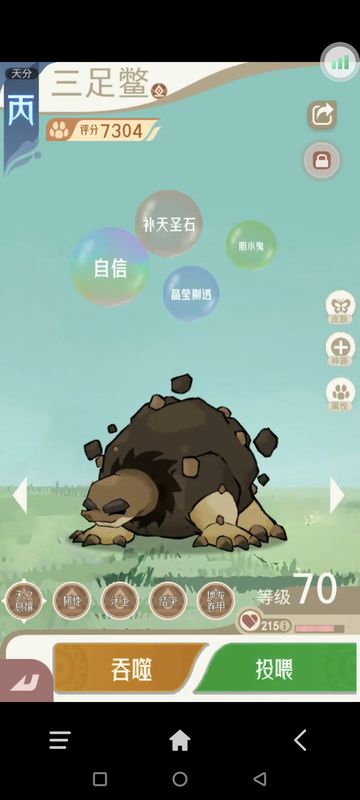 极致输出宠物技能展示，单体爆发，秒杀对手