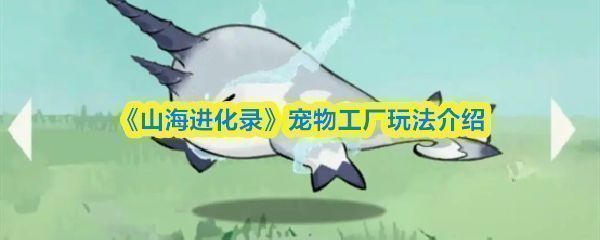 宠物工厂布局示意图，展示不同宠物在各工厂中的分布