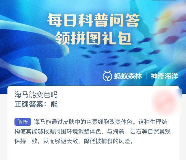 展示不同颜色的海马对比图，体现变色能力差异