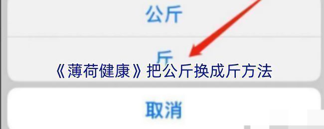 薄荷健康APP主界面展示，界面中央为【我的】按钮