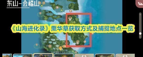 熏华草一阶段形态展示，生长在阴湿沼泽中，叶片泛着微光