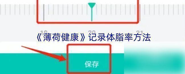 薄荷健康APP首页界面展示，底部导航栏清晰可见