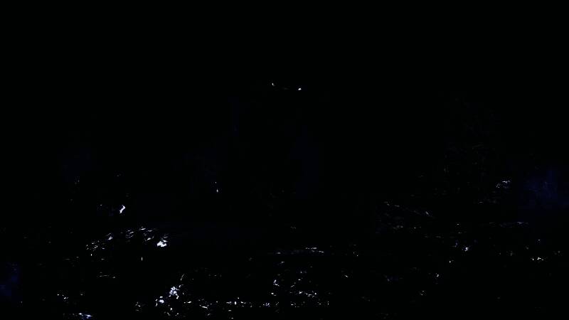 《怪物猎人：荒野》游戏截图，展示角色在丛林中潜行的场景