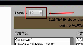 字体设置界面中的字体大小下拉选项