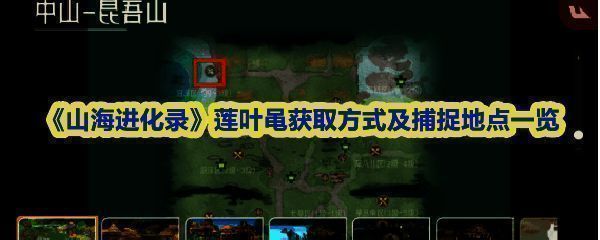 莲叶黾三个阶段形态对比图，分别展示一、二、三阶段的外观变化与进化特征