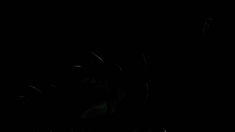 Kain新模型展示，面部细节更贴近全动态视频