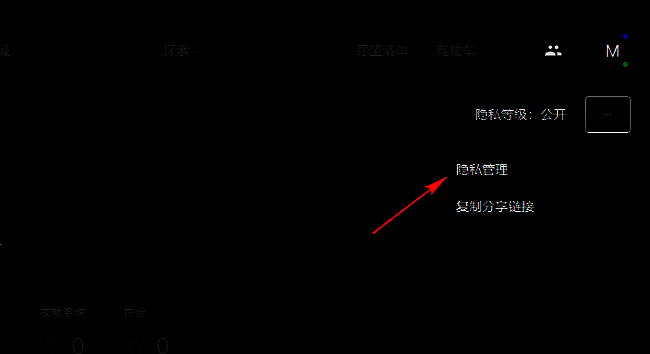 隐私管理选项界面截图，显示多个隐私设置分类与选项