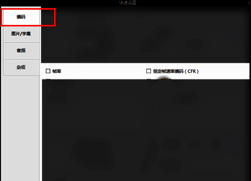 编码设置页面左侧为菜单栏，右侧展示各类编码选项