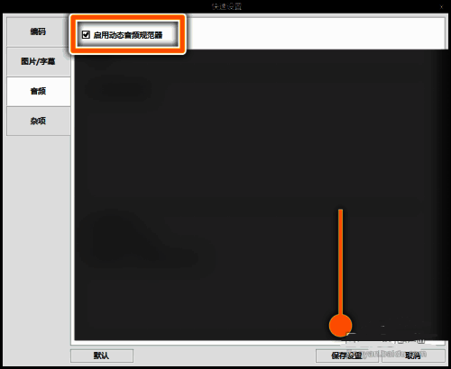 音频设置页面中动态音频规范器选项被勾选