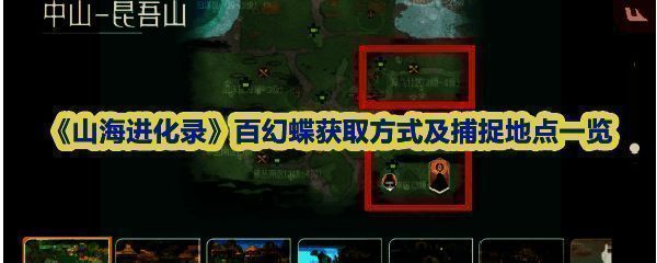 百幻蝶三个阶段形态展示，呈现出从幼体到成熟体的进化过程