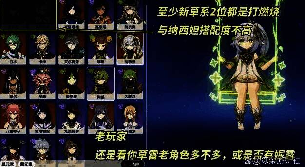 纳西妲与其他角色协同作战画面，队伍配合默契，技能特效绚丽