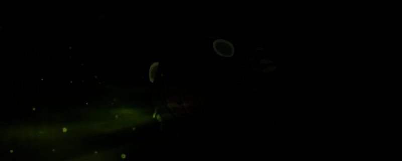 《空洞骑士：丝之歌》中伟大的格洛战斗场景，BOSS悬浮于腐汁泽中央，释放能量波与触须攻击，背景充满粘稠液体与昏暗光影