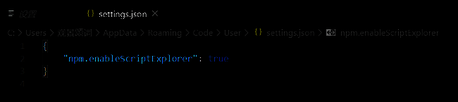 settings.json文件编辑界面，展示配置代码