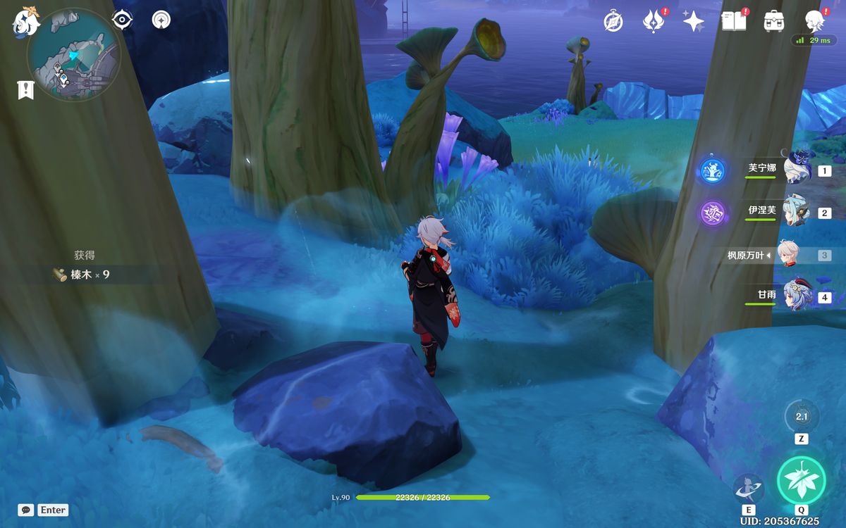 山坡上成群生长的榛木林，树木较矮但枝叶繁茂，地面散落着木质碎片