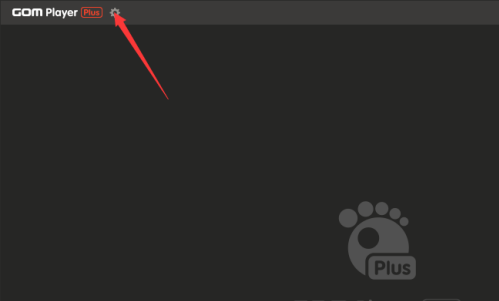 GOMPlayer主界面左上角齿轮图标特写，用于进入设置菜单