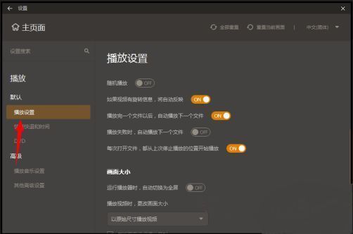 左侧为播放设置分类栏，右侧展示各项播放相关选项