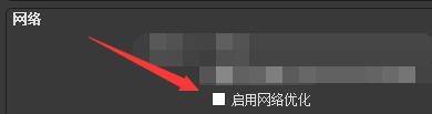 已勾选‘启用网络优化’选项的设置界面，方框内打钩状态清晰可见