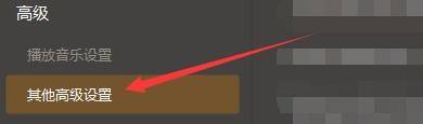 GOMPlayer设置界面左侧菜单中‘其他高级设置’被选中，准备展开高级功能