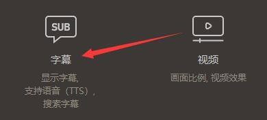 设置窗口中字幕选项被选中，右侧显示相关参数调节区域