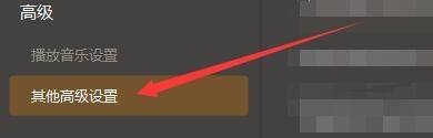 GOMPlayer高级设置左侧菜单栏展开状态，明确指向‘其他高级设置’选项