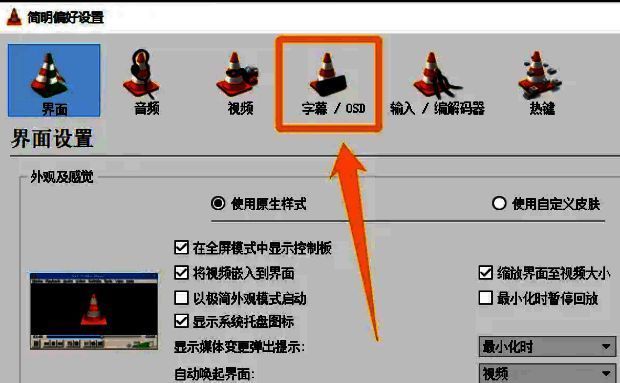 偏好设置窗口已打开，'字幕 / OSD'选项卡被高亮选中，展示相关设置内容