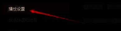播放设置选项在左侧菜单中高亮显示的界面细节