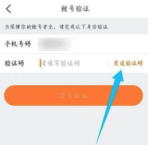 账号验证页面展示，要求输入短信验证码并提交