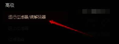 左侧菜单中高亮显示‘运行过滤器/编解码器’选项的设置窗口