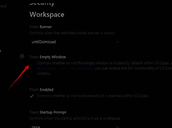 VSCode设置右侧面板中Empty Window选项被取消勾选前的状态截图