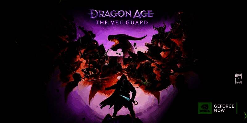 《龙腾世纪：影障守护者》游戏实机画面，角色身处神秘光影交错的奇幻森林中，周围环绕魔法能量