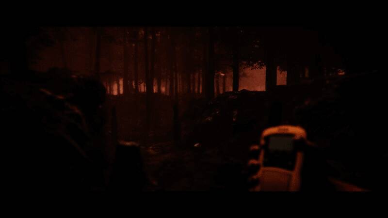 主角手持手电筒站在森林小道上，前方树木阴影中似有异样轮廓，气氛诡异