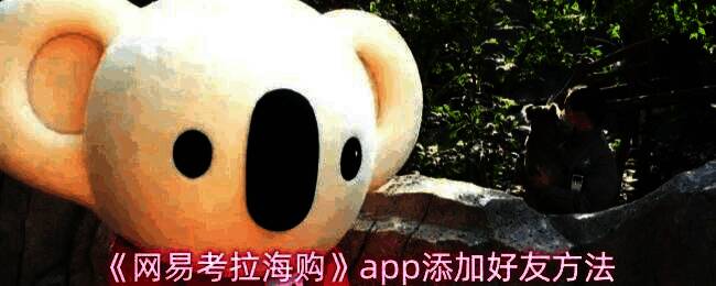 网易考拉APP主界面底部导航栏展示，突出显示‘我的考拉’按钮位置