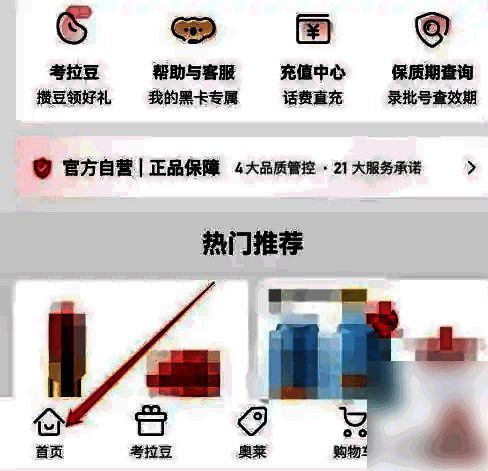 考拉海购App界面展示，屏幕下方高亮显示【我的考拉】按钮，用户正准备点击进入个人中心