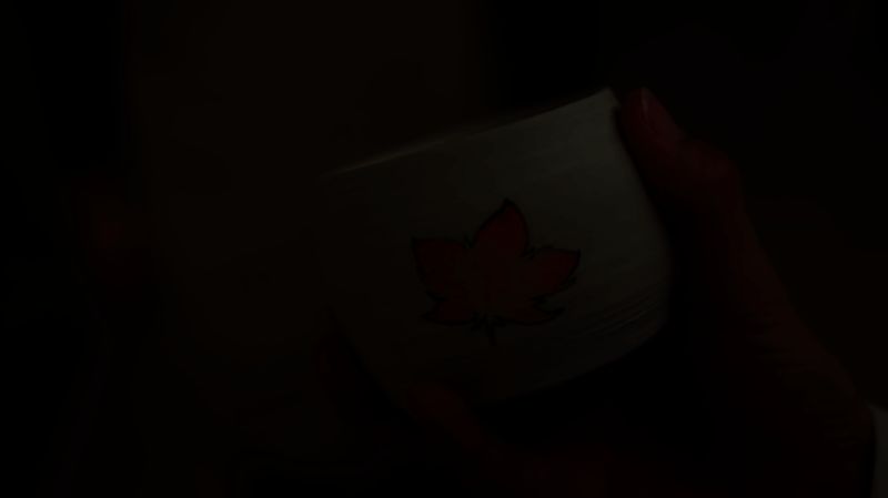 Steam商店页面截图，显示游戏名称、价格信息及‘限时8折’促销标签