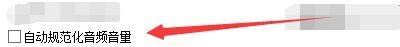 ‘自动规范化音频音量’复选框已被勾选，功能状态已启用