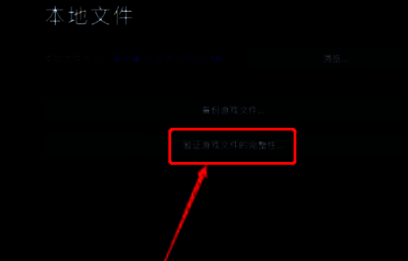 正在执行文件验证的画面，进度条显示扫描进程，下方有实时日志输出