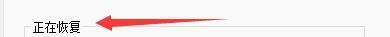 ‘正在恢复’栏目下显示多个复选框，其中‘恢复目录结构’尚未勾选