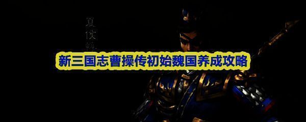 《新三国志曹操传》魏国核心武将群像展示，曹操居中，夏侯兄弟分立两侧，荀彧持书而立，整体气势恢宏