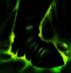 大嘴从远处释放R技能轰击敌人的场景，技能范围覆盖多个单位，画面展现高爆发视觉效果